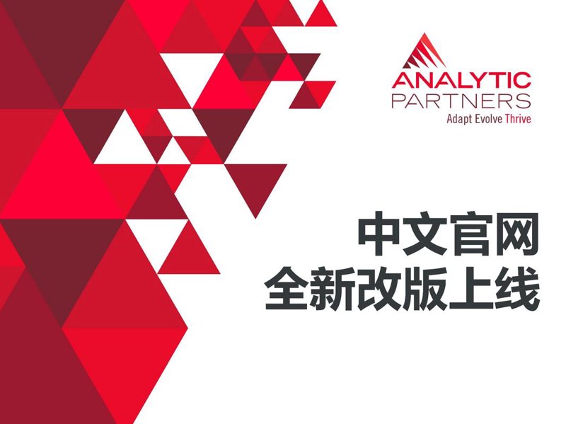 企业官网定制选购指南
